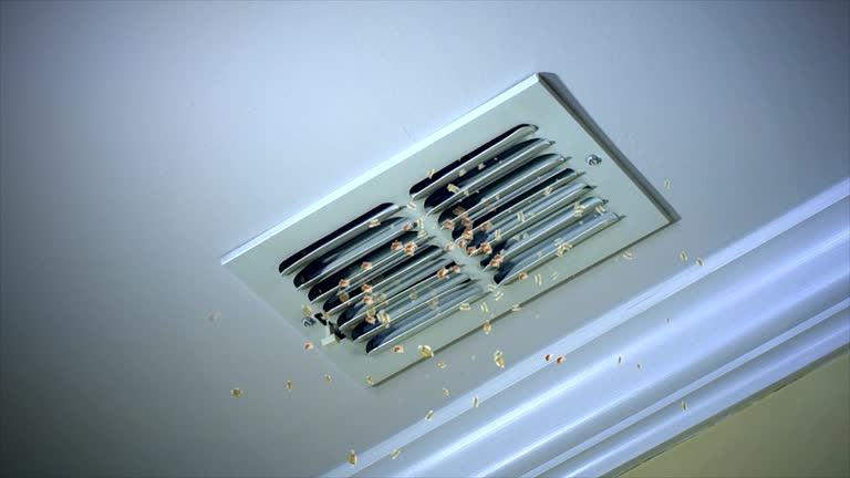 Best Professional Duct Cleaning Services  in Levittown, NY