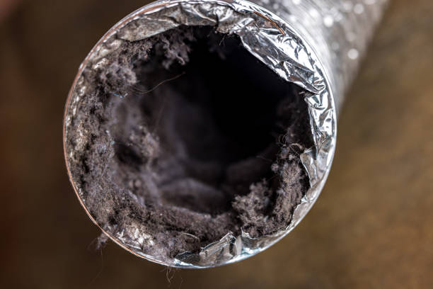 Best Local Air Duct Cleaning Services  in Levittown, NY
